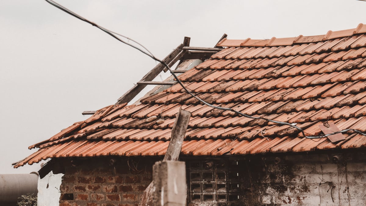 Storm-damaged shingles on a roof