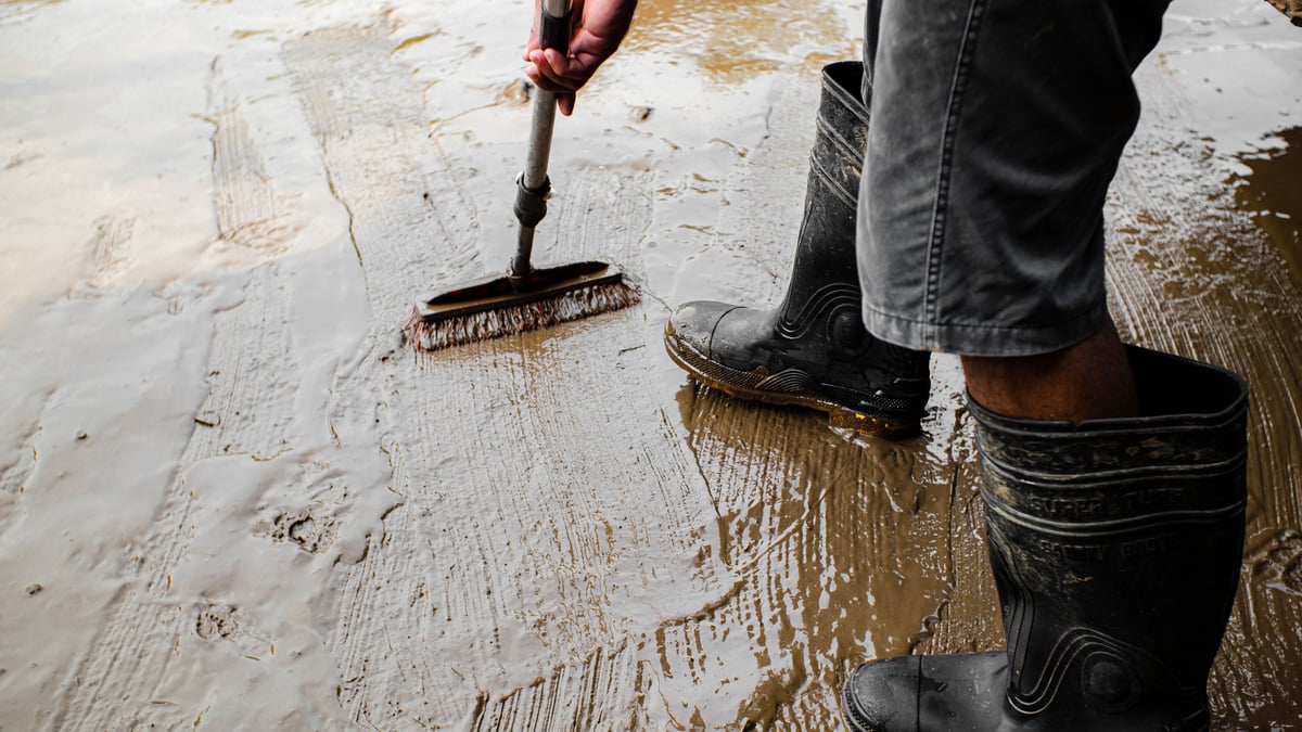 Flat roof with standing water and debris
