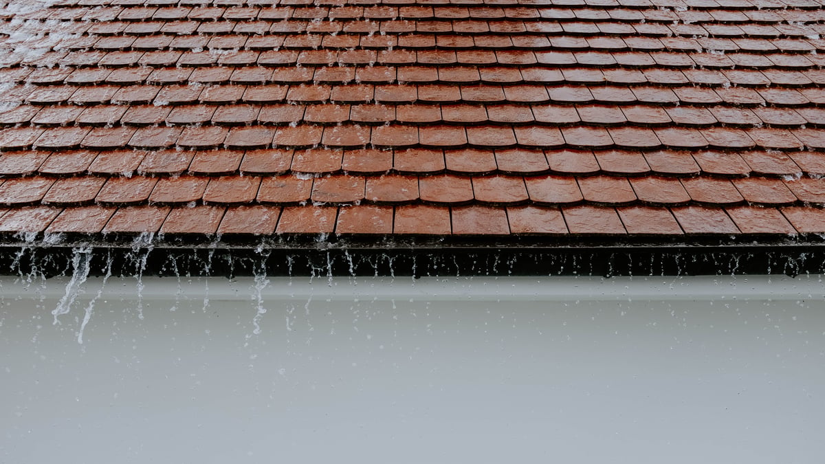 Storm damage on roof shingles